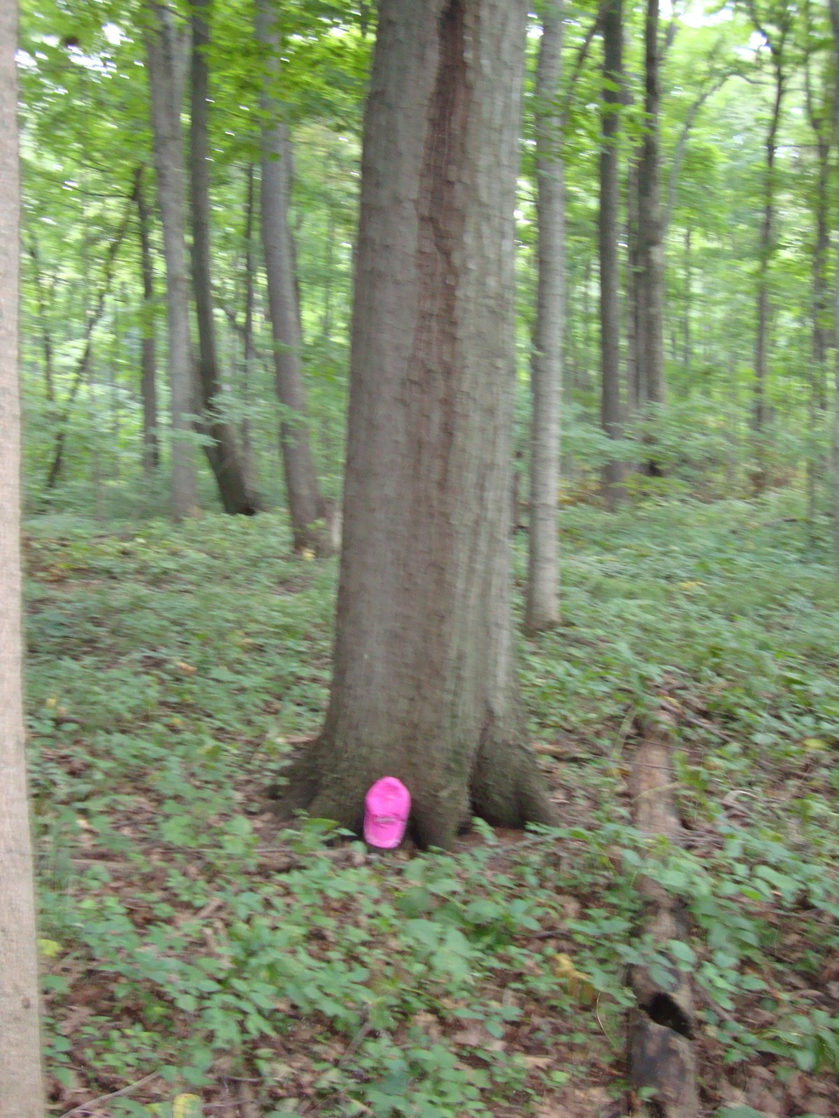 Property photo 9 - 160 Acres Offered in 6 Tracts
